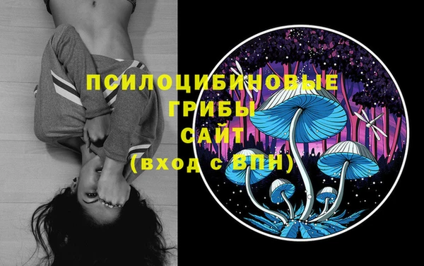 мет Елизово