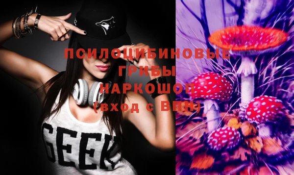 мет Елизово
