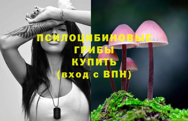 гашиш Осинники