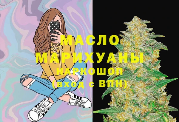 МДПВ Ельня